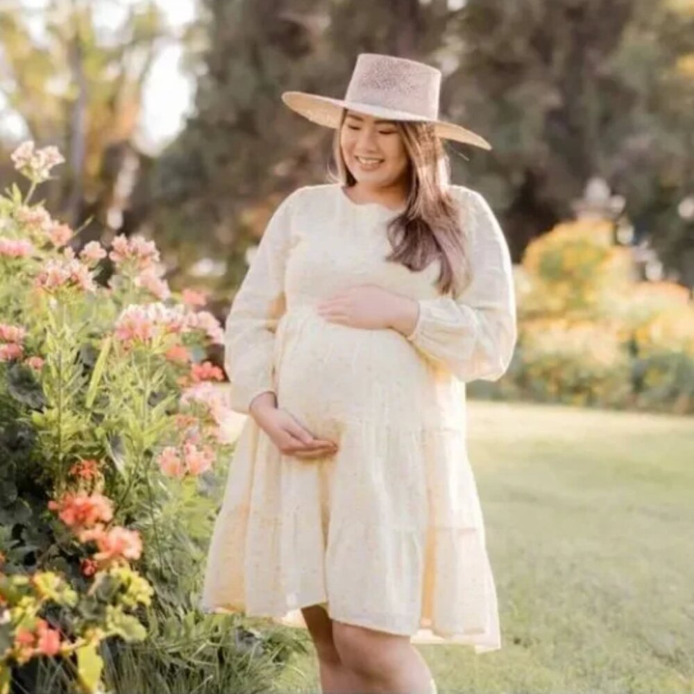 Kindred Bravely Nursing and Maternity Dress